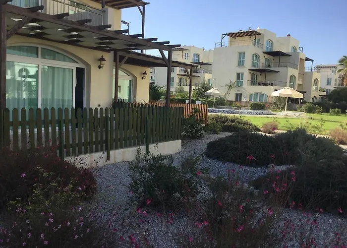 Aphrodite Beachfront *