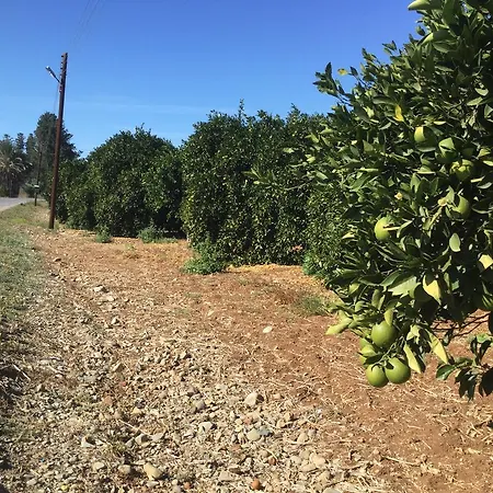 Apartament Aphrodite Beachfront Ghaziveran