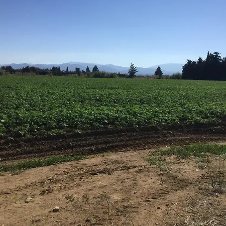 Apartment Aphrodite Beachfront