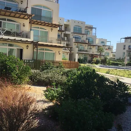 Апартаменты Aphrodite Beachfront *