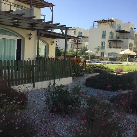 Aphrodite Beachfront *