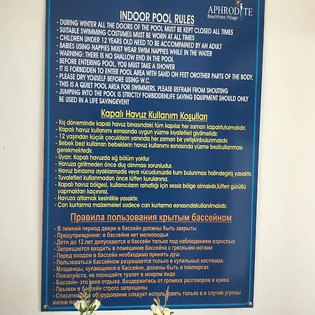 Aphrodite Beachfront