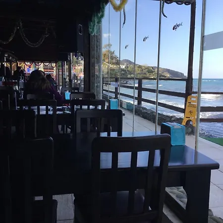 Aphrodite Beachfront * Ghaziveran