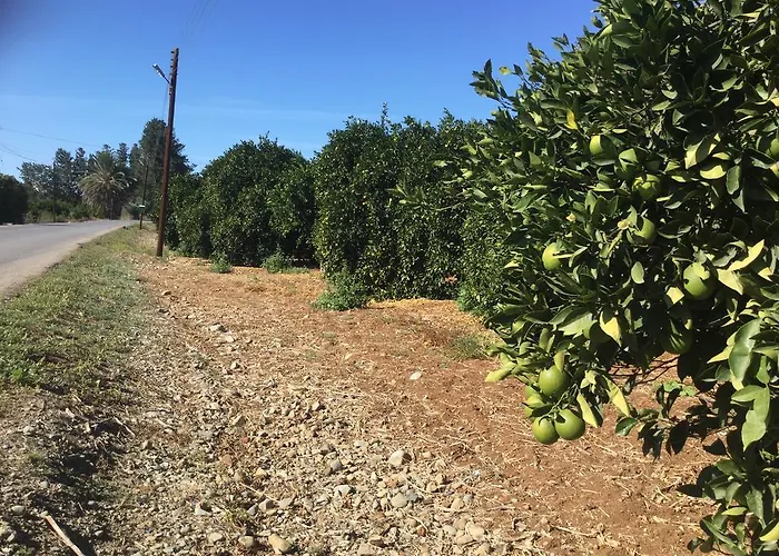 דירה Aphrodite Beachfront Ghaziveran