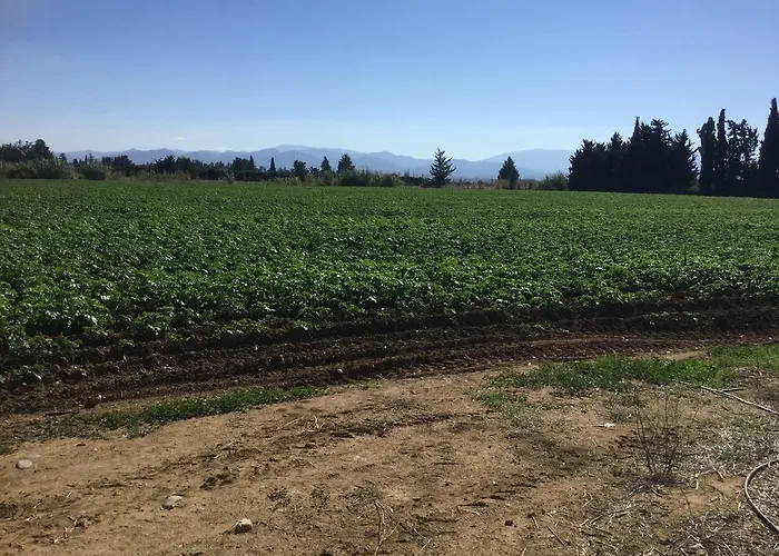 아파트 Aphrodite Beachfront