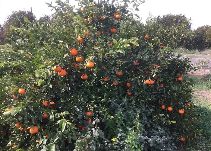 Aphrodite Beachfront Apartmán Ghaziveran