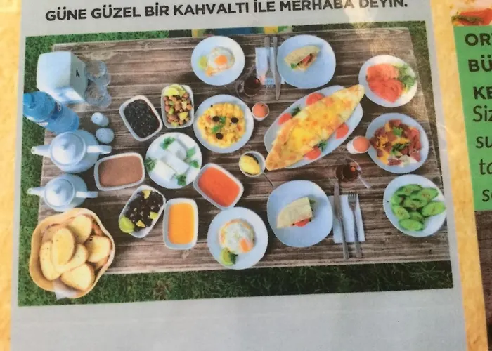 Aphrodite Beachfront * Ghaziveran